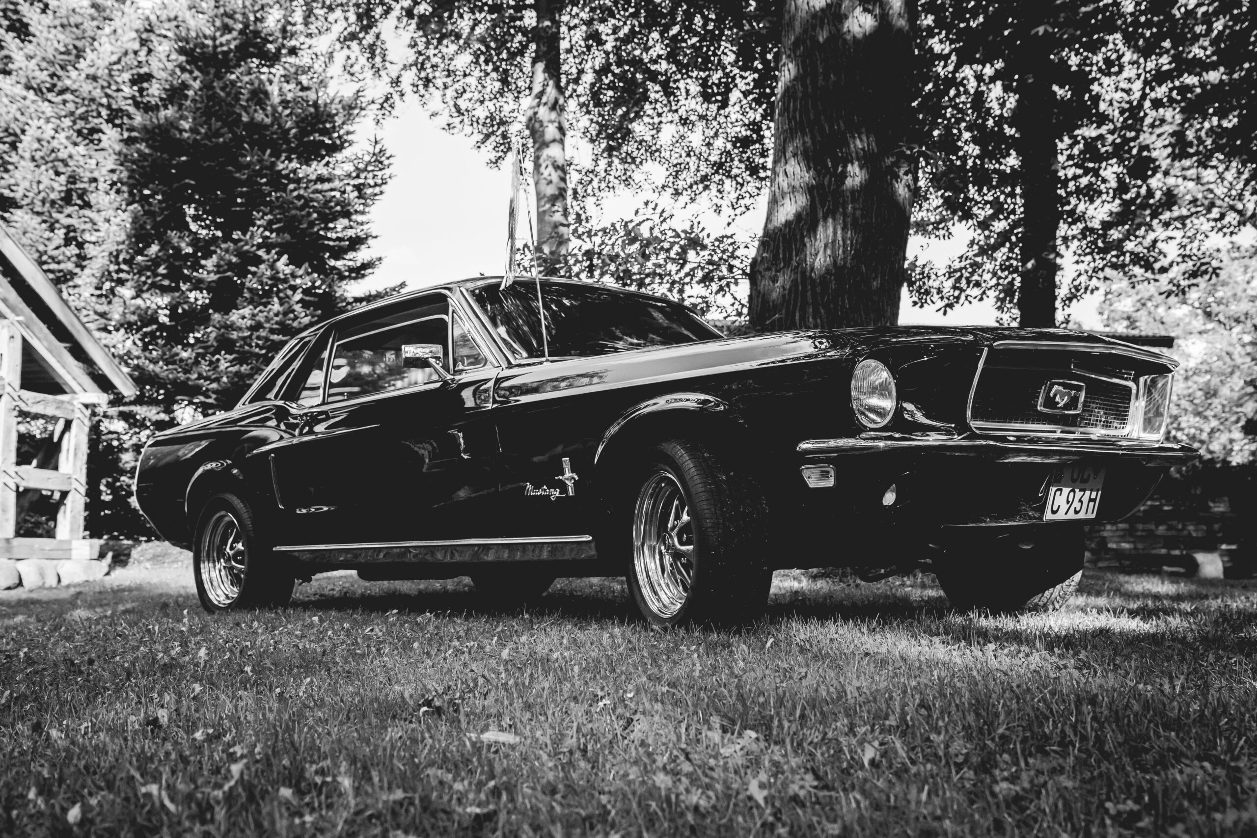 Ford Mustang in Schwarz Weiß
